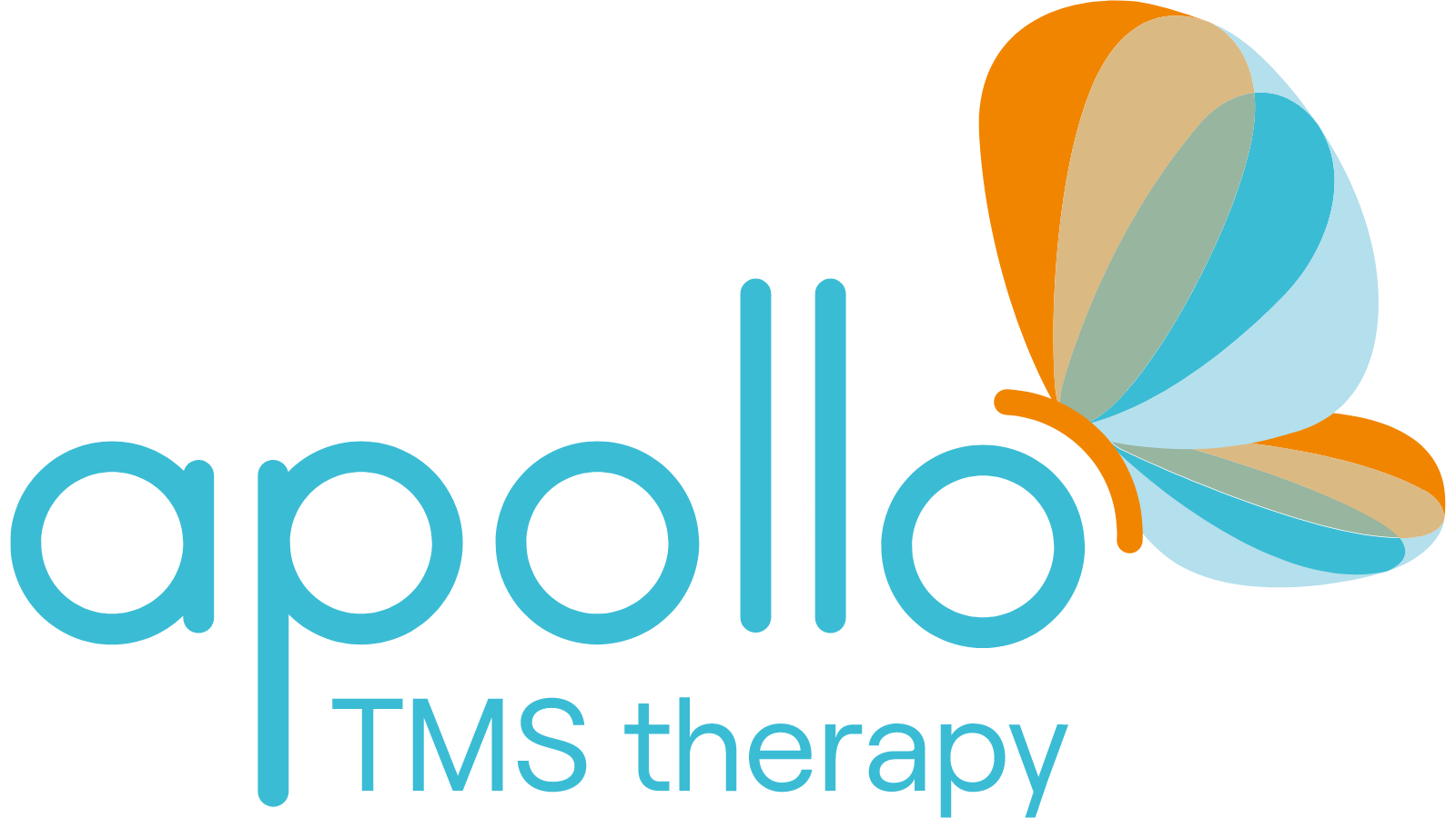 APECS / TMS Solutions logo